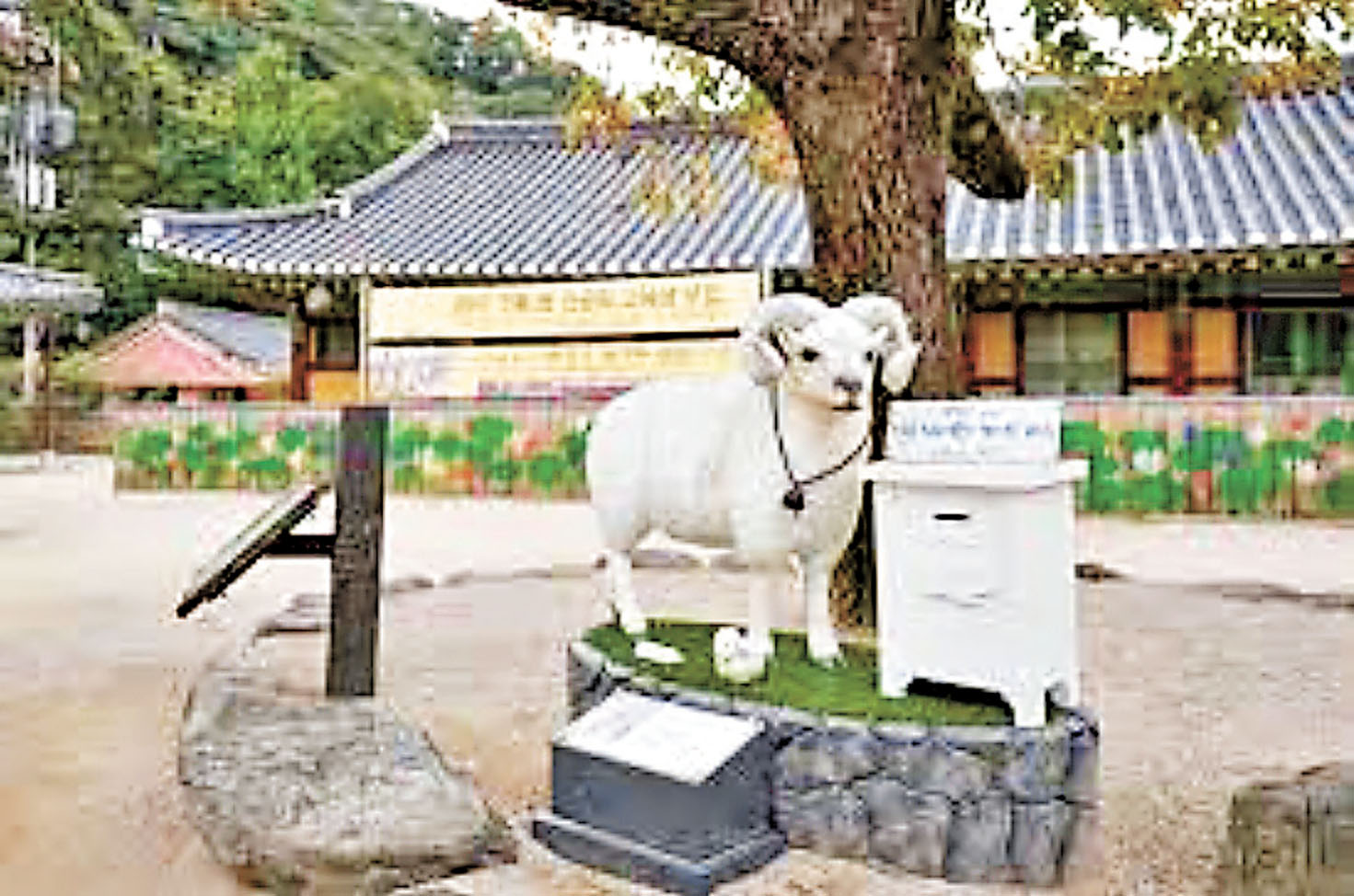 ■全羅南道的白羊寺有另一番景色。