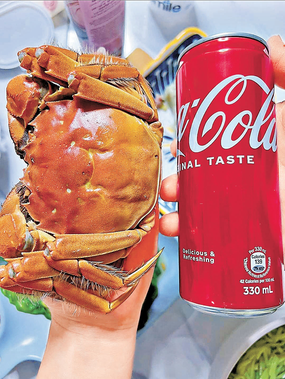 ■七両重大閘蟹身長相當於一罐可樂。