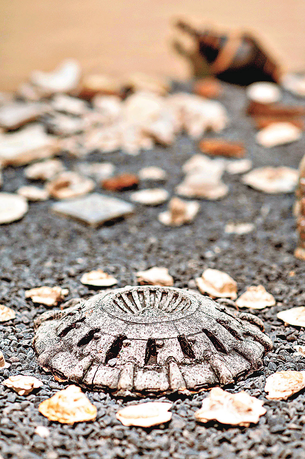 ■陶啟安以陶藝壓模技法製成的作品。