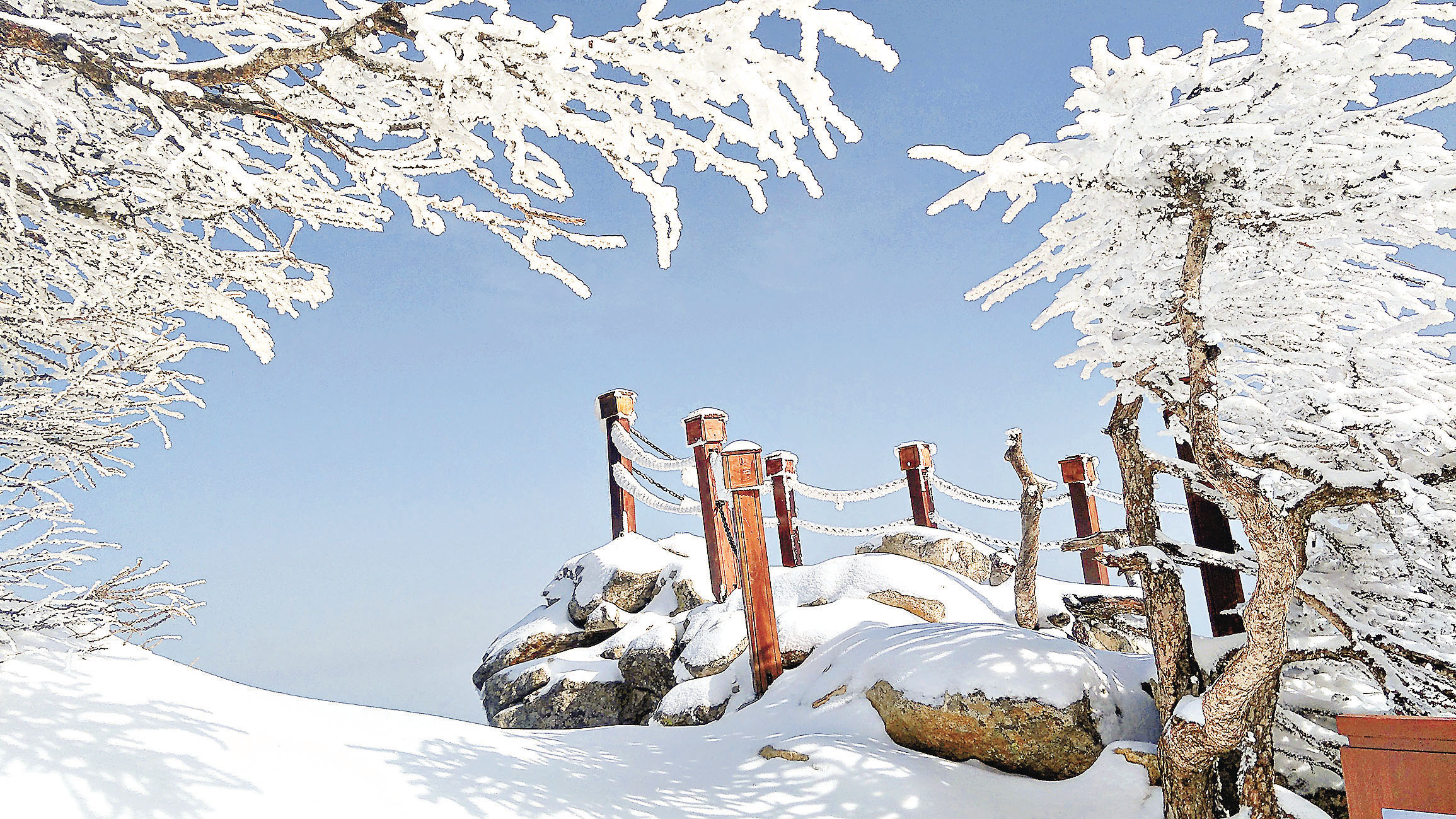 ■霧凇美景是冬遊太白山的一大亮點。