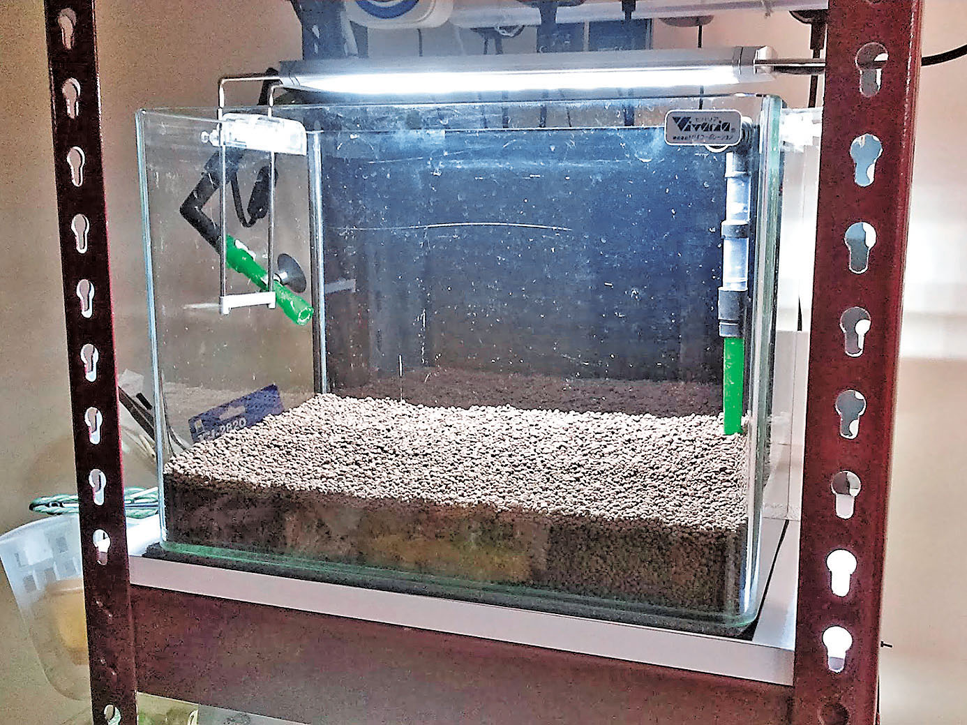 ■養水過程十分重要。