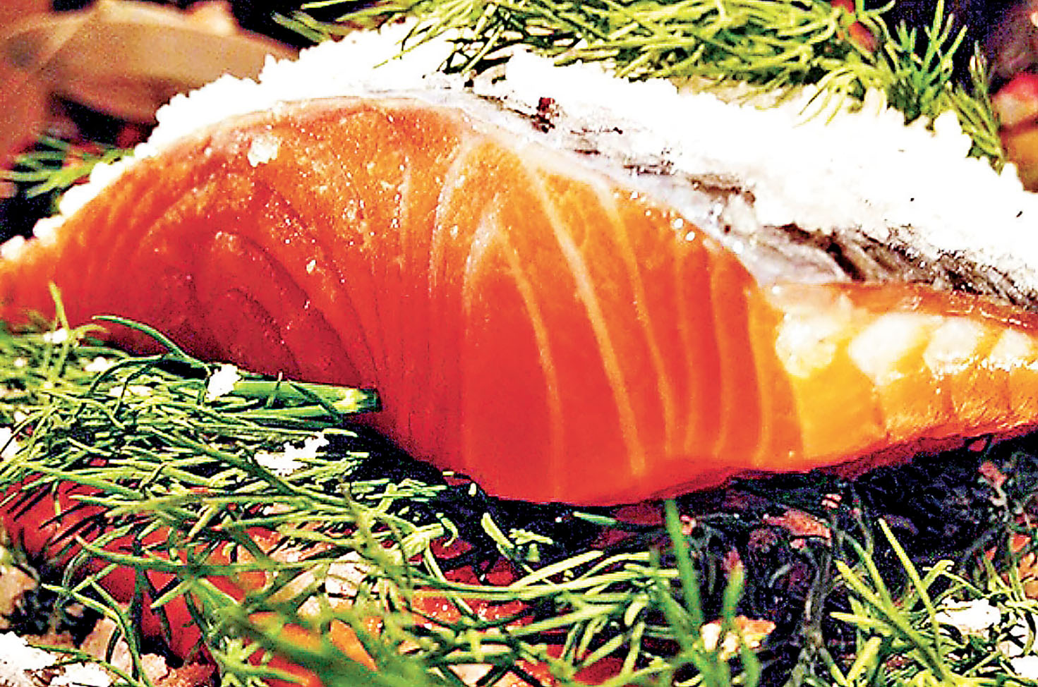 ■挪威的醃製三文魚。