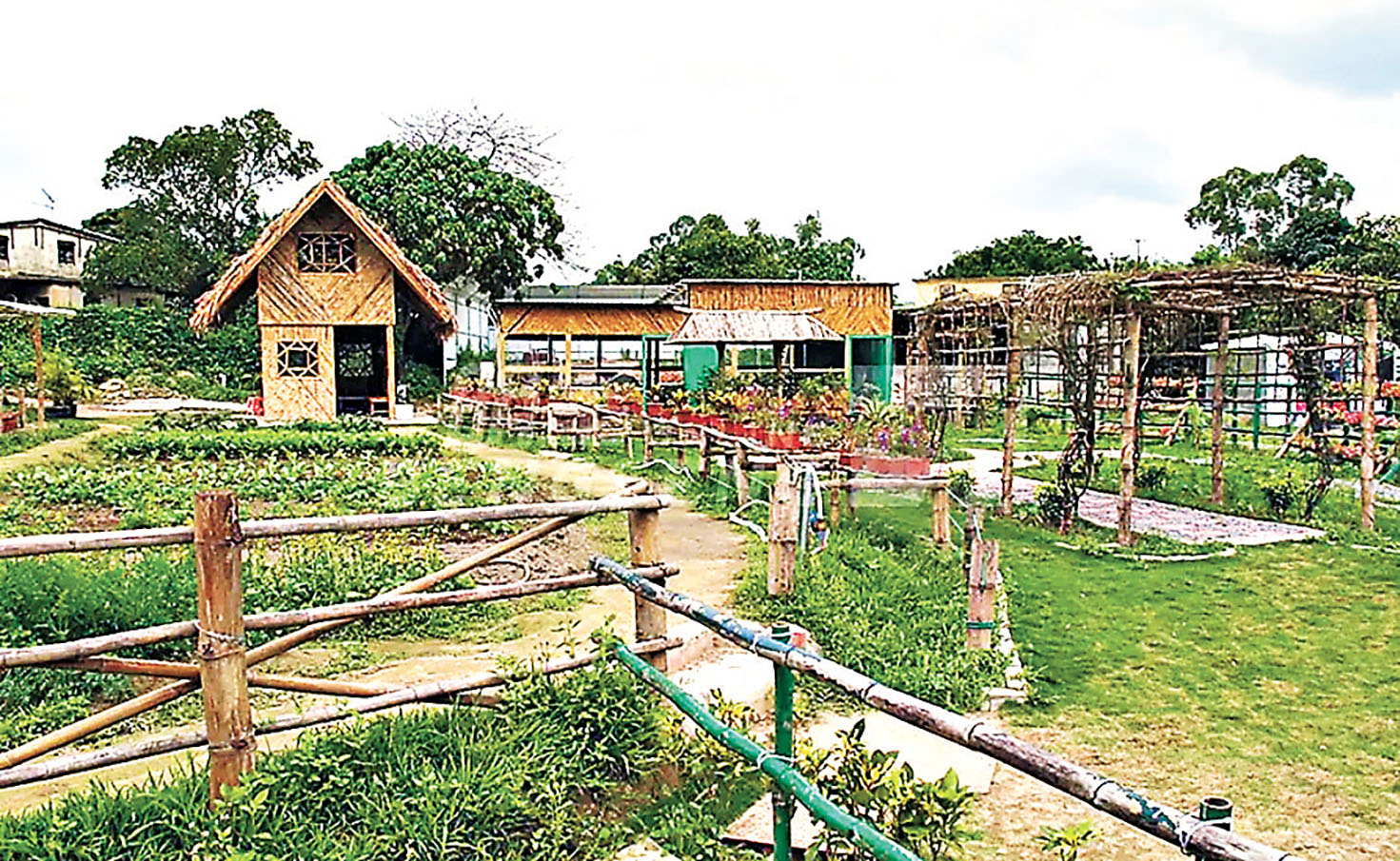 ■遊客可在沙頭角農莊內學習耕田。