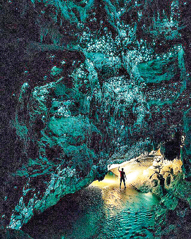 ■馬拉庫帕洞穴內可欣賞到鐘乳石外，還有藍光蟲。