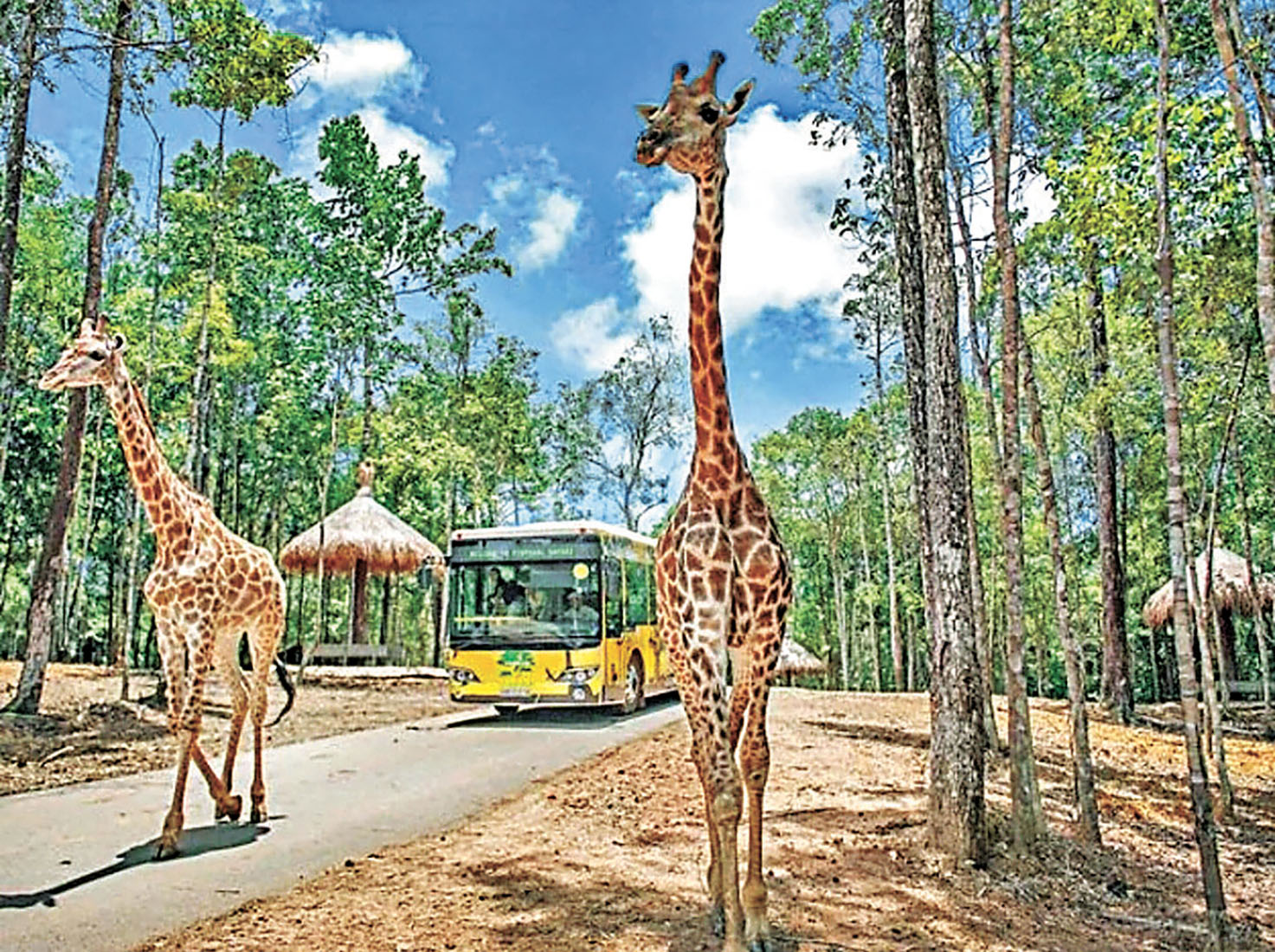 ■「珍珠野生動物園」住了3千多隻動物。