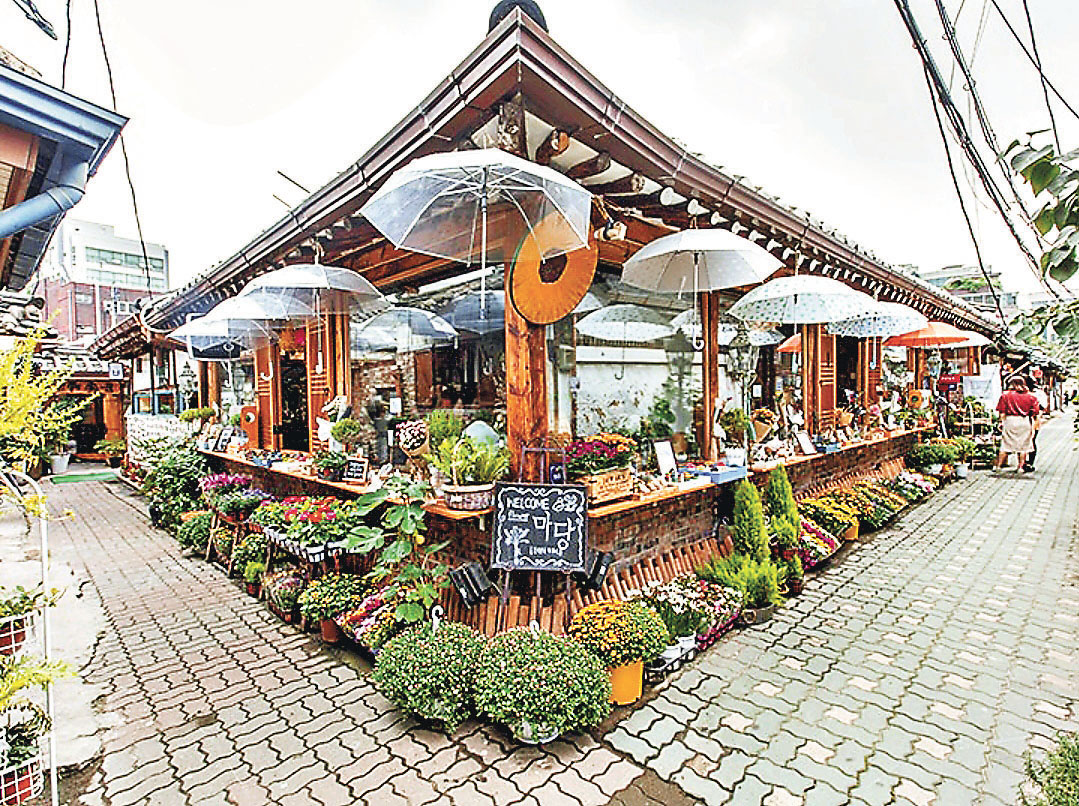 ■益善洞窄窄的小巷有不少傳統韓屋改裝的咖啡店。