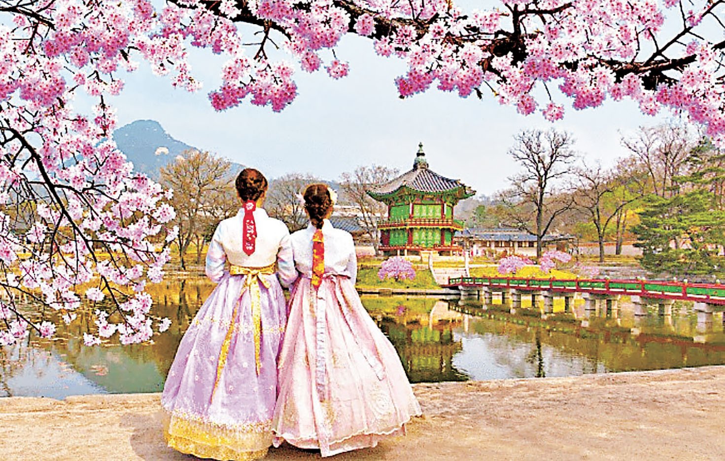 ■首爾景福宮是全韓國觀看櫻花最佳的地點。