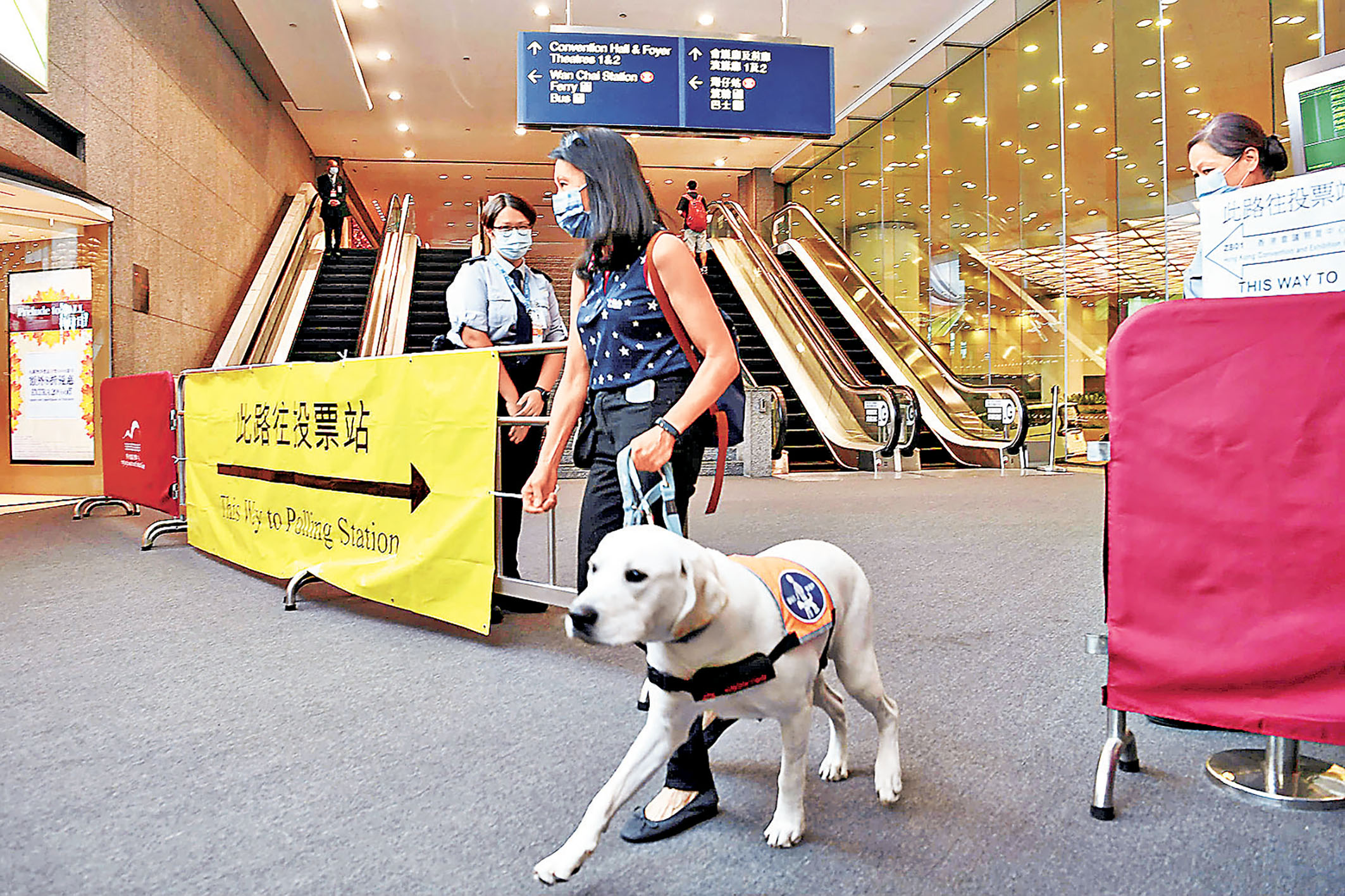 ■香港不少地方都歡迎導盲犬。