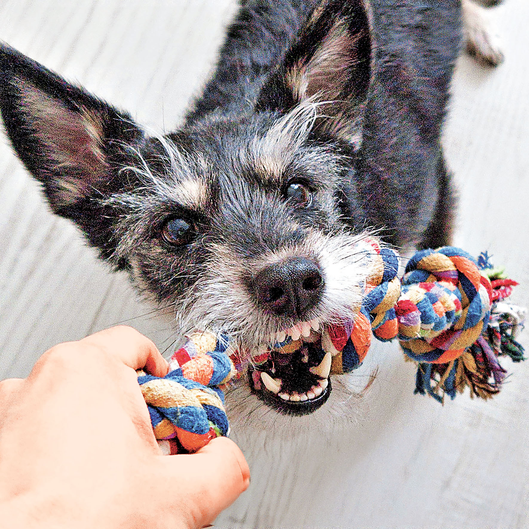 ■有專人一對一玩耍時間。