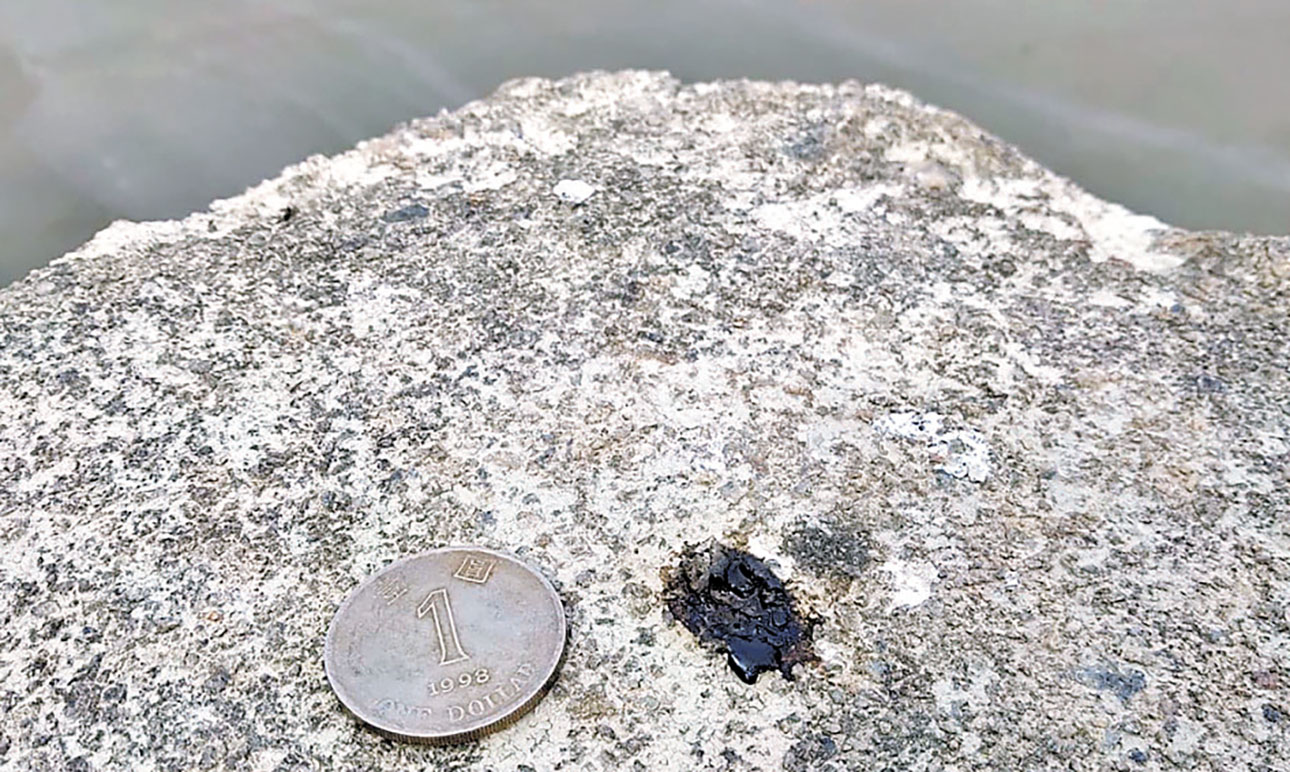 ■疑似水獺的排洩物約一元硬幣大小。