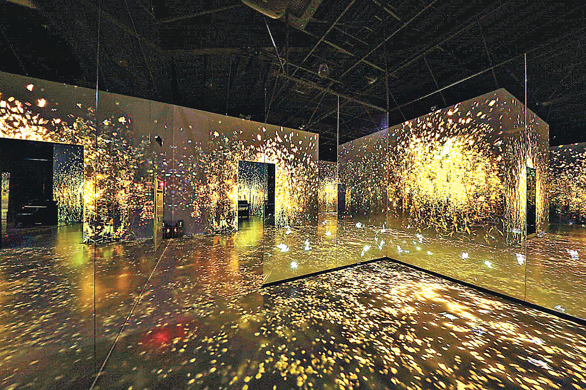 ■繁花（靜觀花的綻放，體會生命的喜悅）