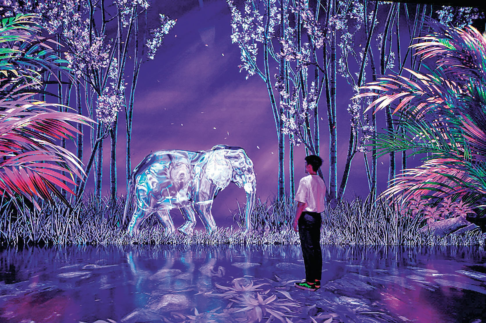 ■叢林（探索神秘叢林，邂逅神奇生命）