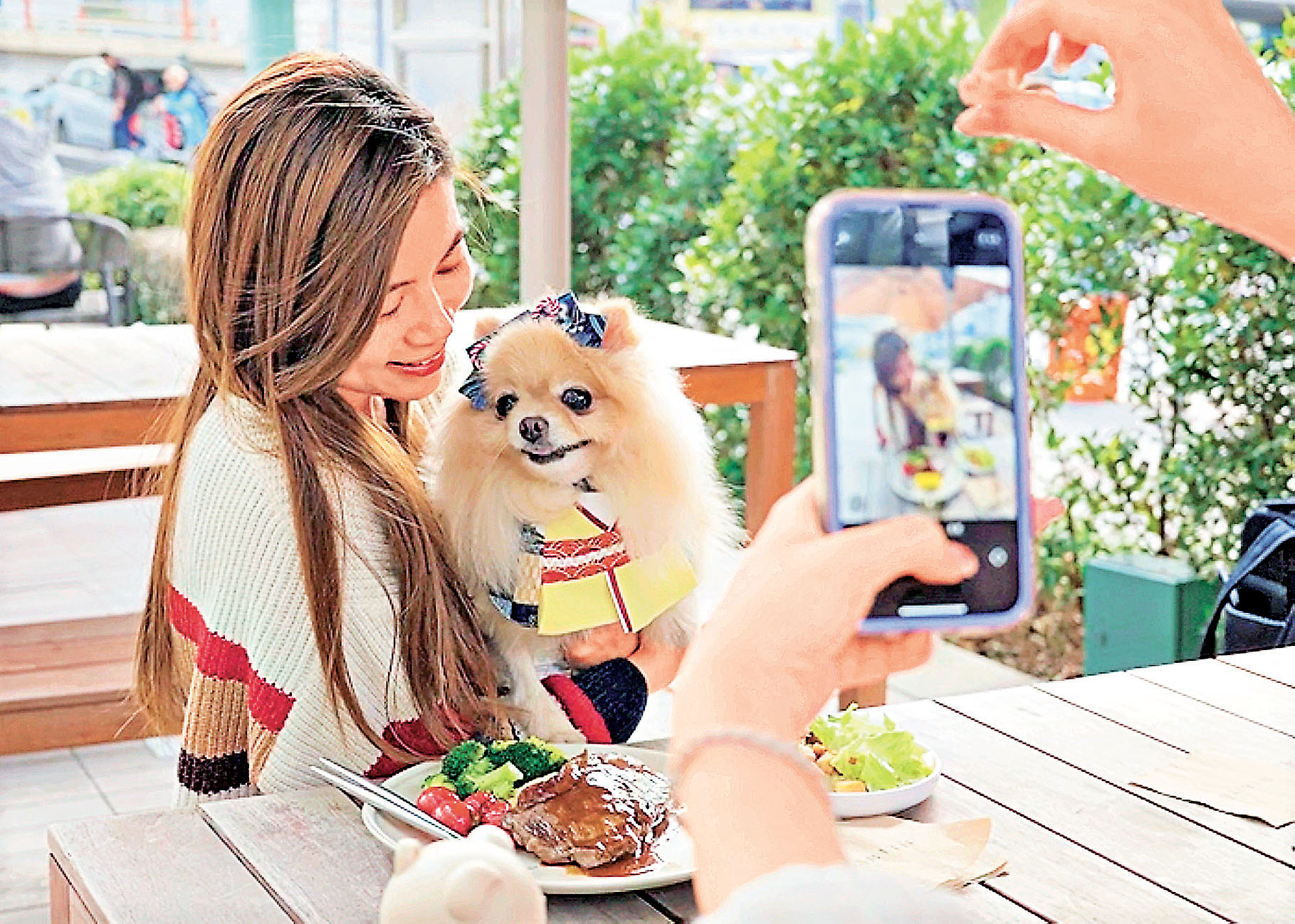 ■主人可攜寵物食大餐。