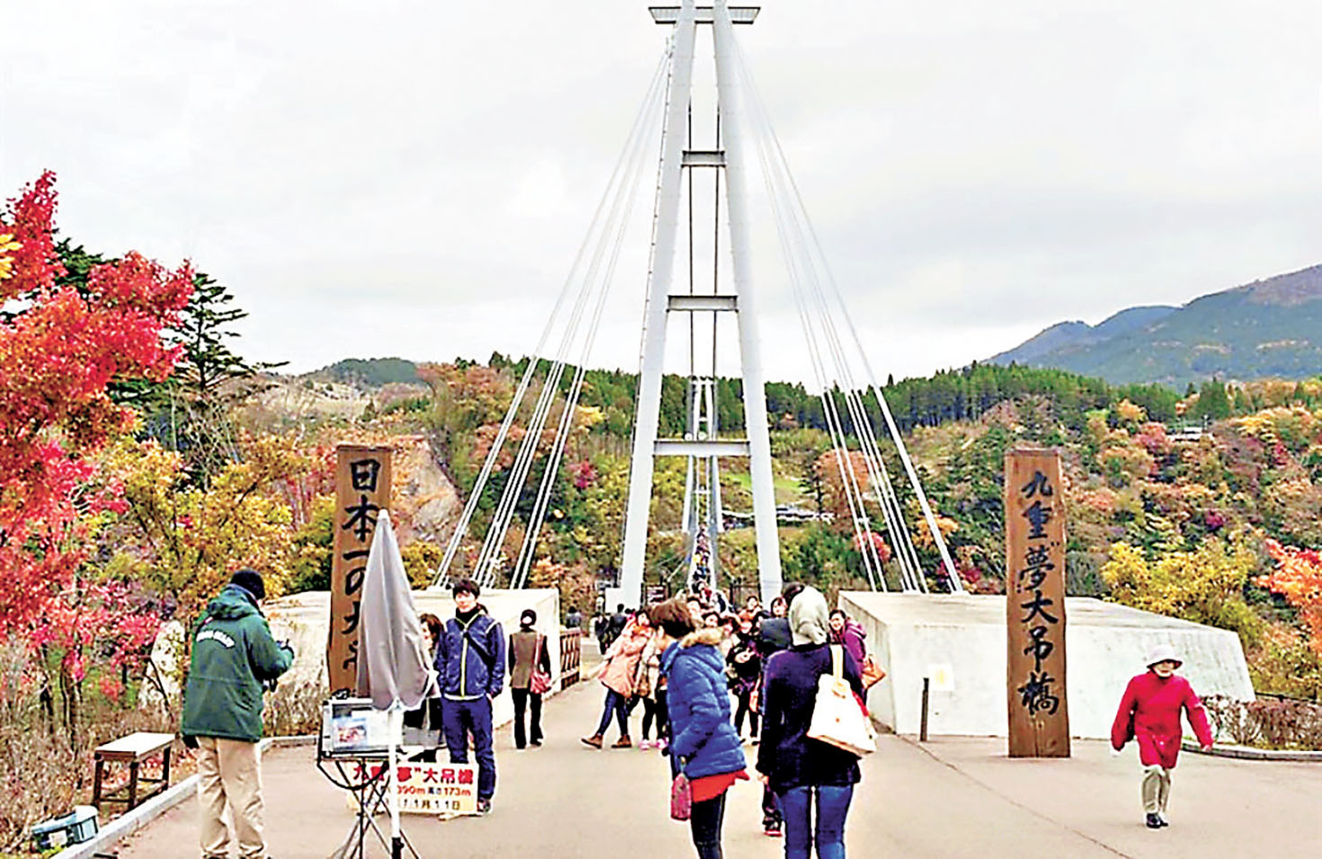 ■九重夢大吊橋上可觀賞四周的紅葉。