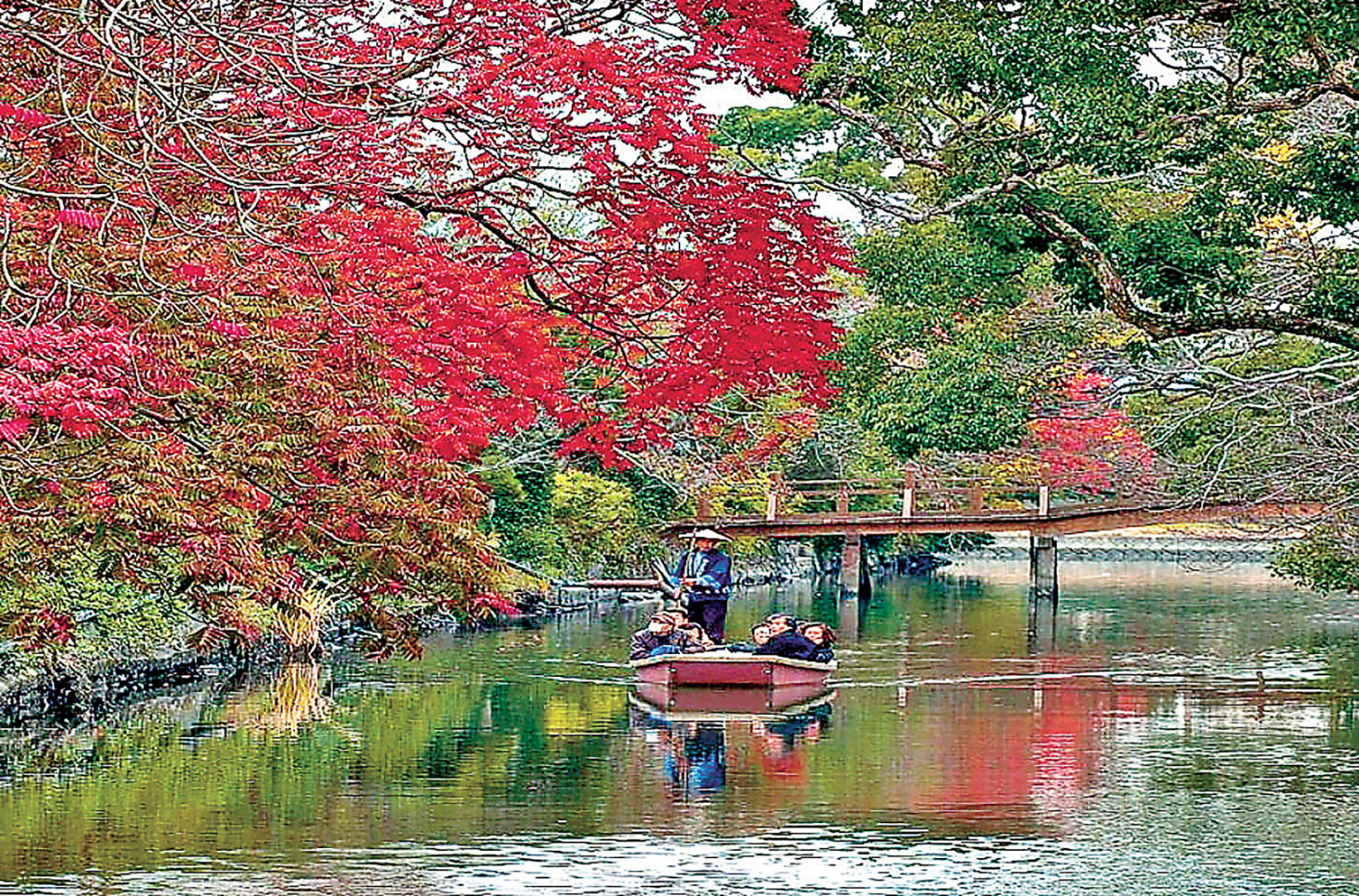 ■柳川水鄉泛舟遊，可細賞兩旁美麗楓葉景色。