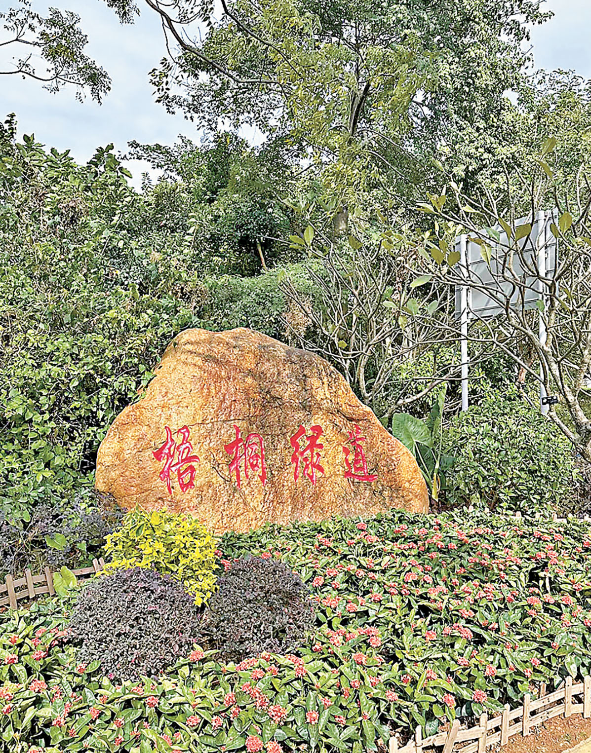 ■歡迎來到梧桐綠道。