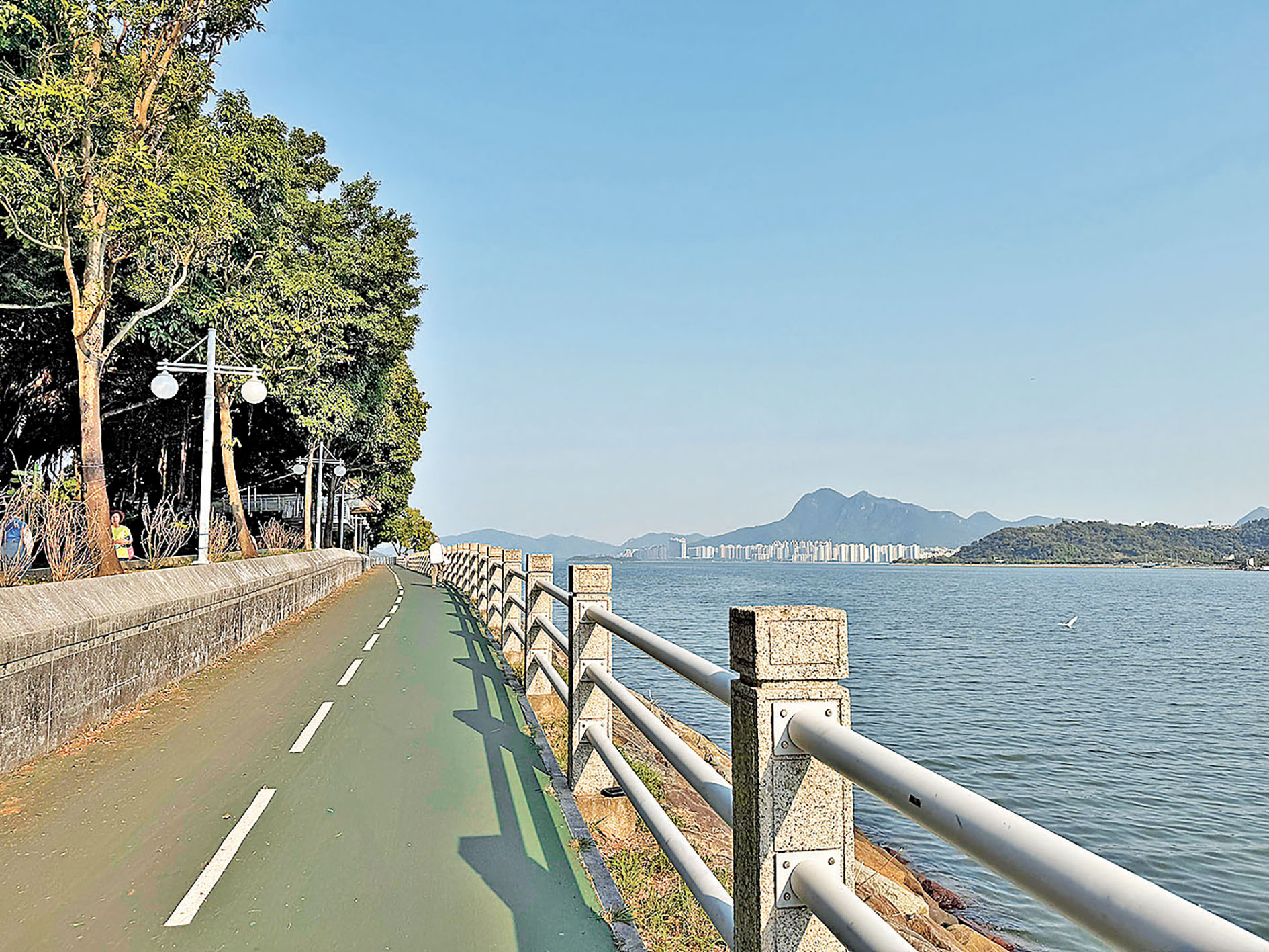 ■海濱長廊的單車徑。