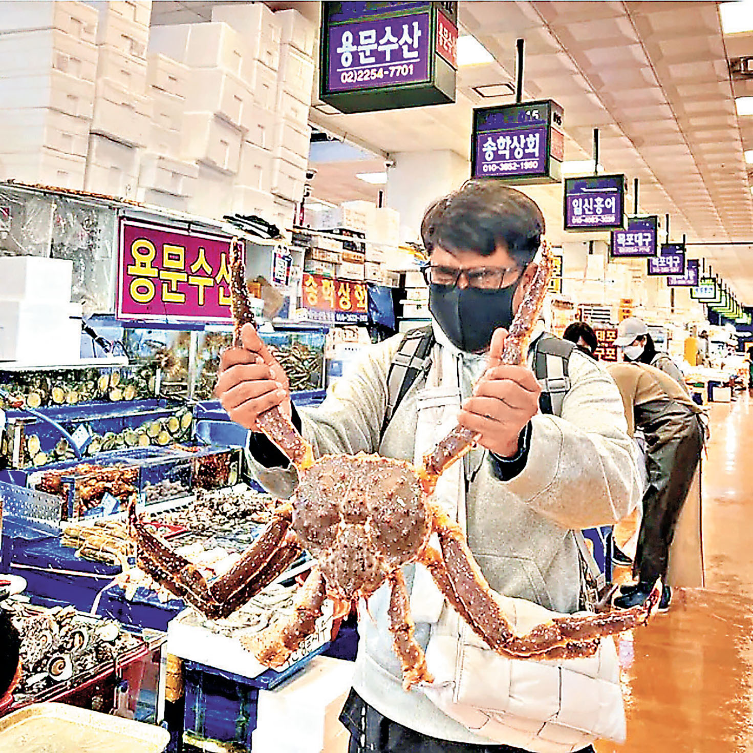 ■鷺梁津魚市場隨時可揀到長腳蟹。