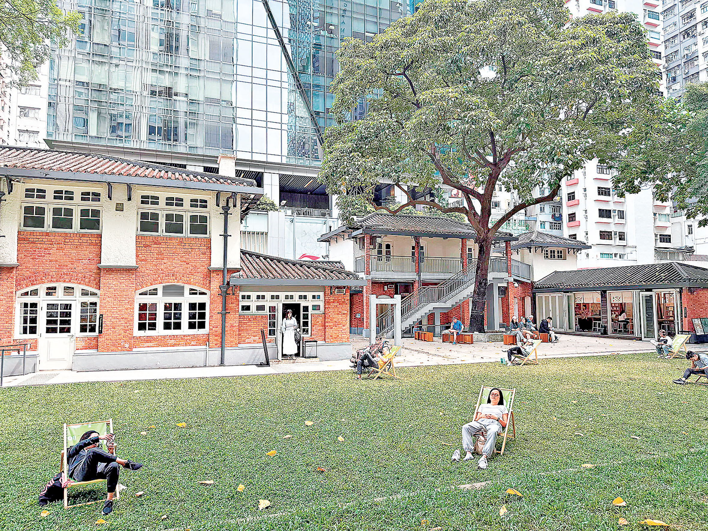 ■市民在中央草坪沐浴陽光。