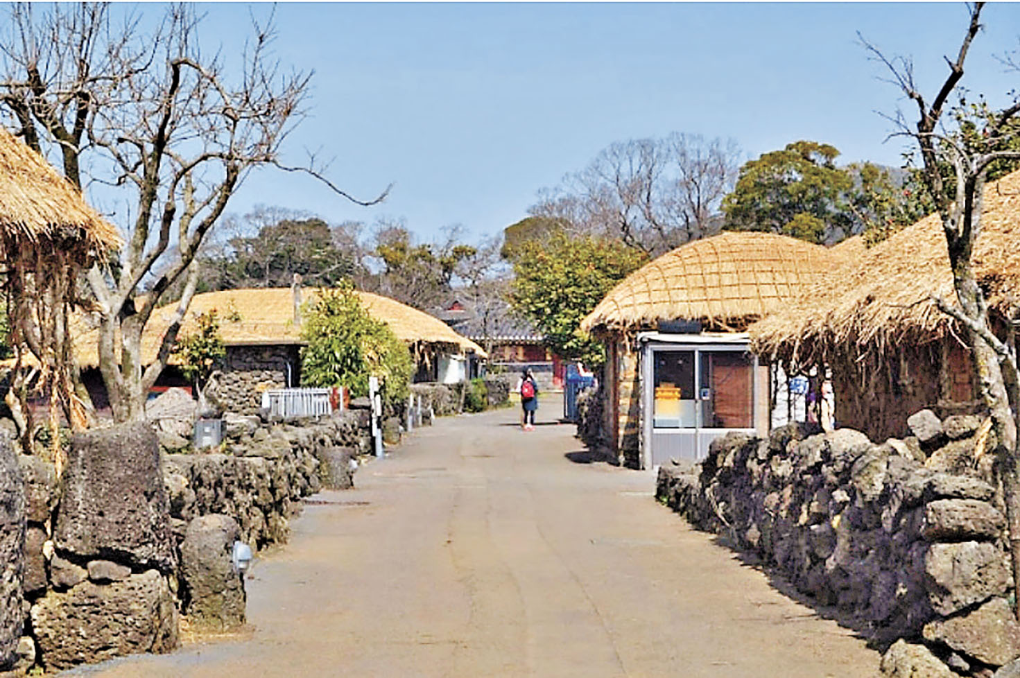 ■城邑民俗村充滿濟州島傳統漁村風味。