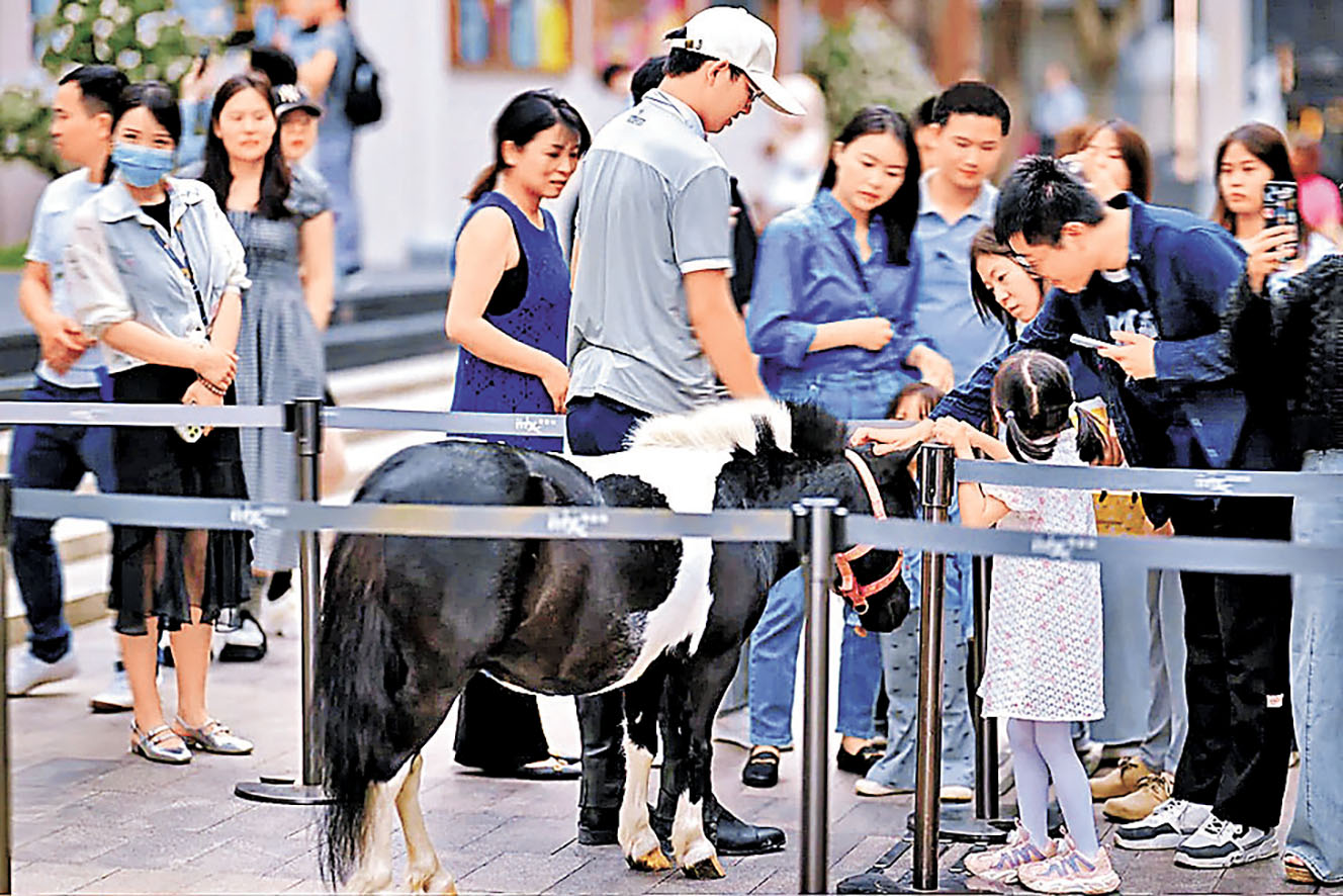 ■真馬與觀眾互動。