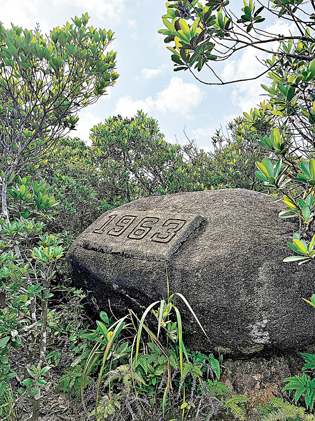 ■渣甸山沿途景象。