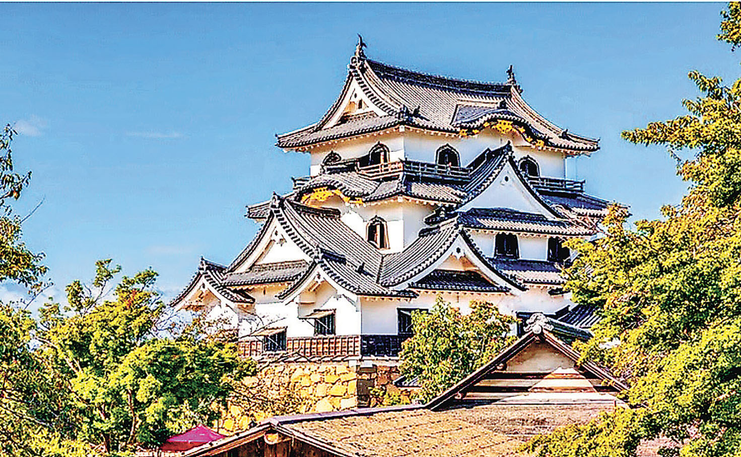 ■彥根城珍貴建築天守閣。