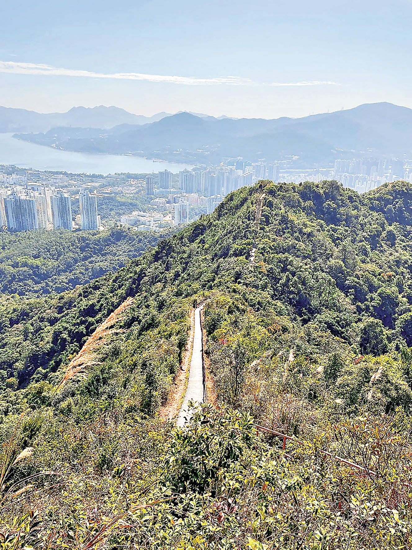 ■山頂景色開揚。