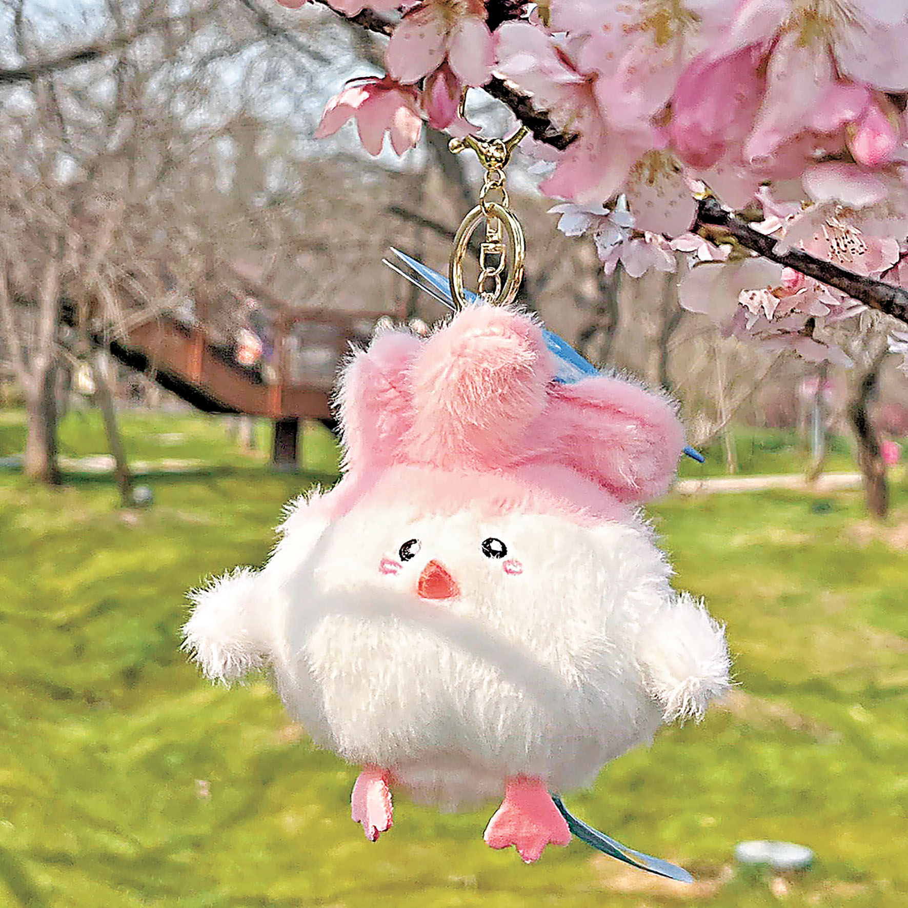 ■櫻花款蒜鳥