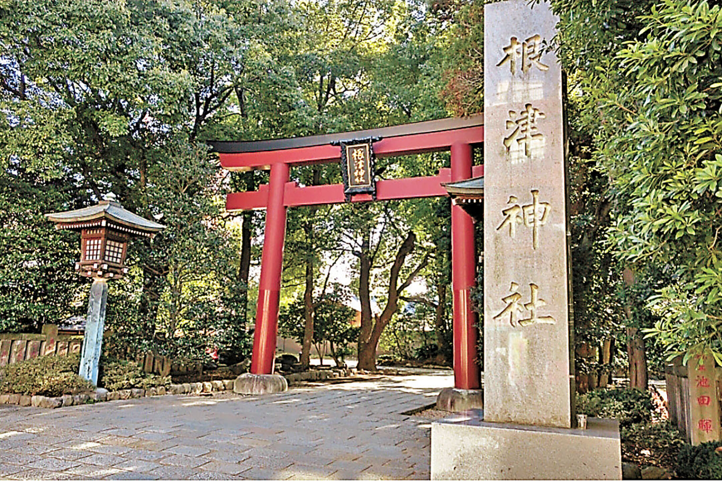 ■根津神社鳥居氣派不凡。