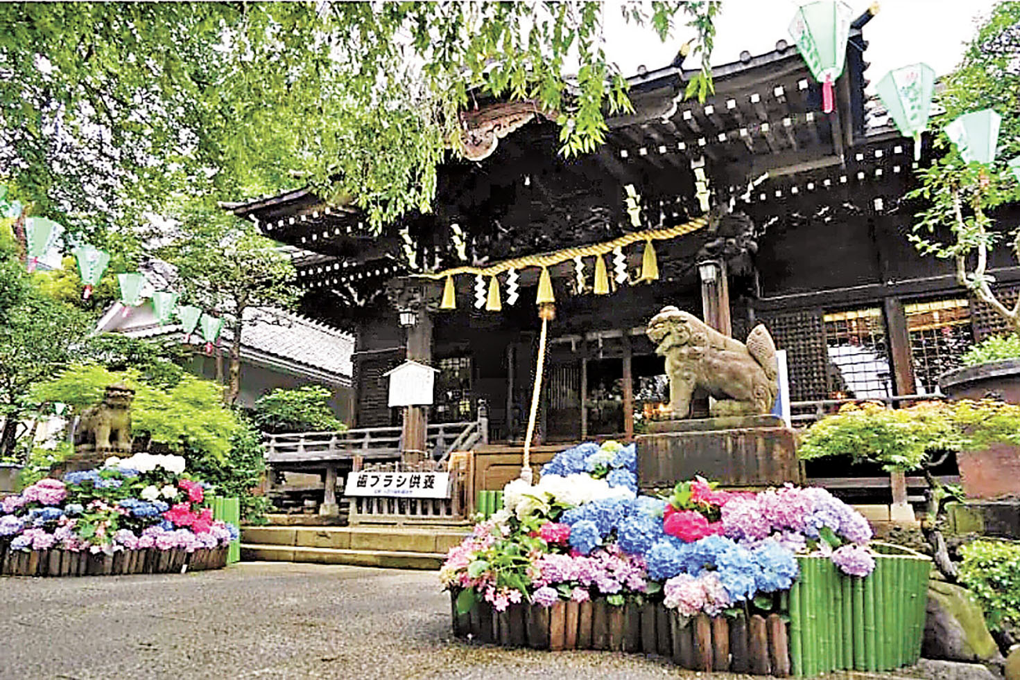 ■白山神社的「牙刷供養」,可保護你的牙齒。