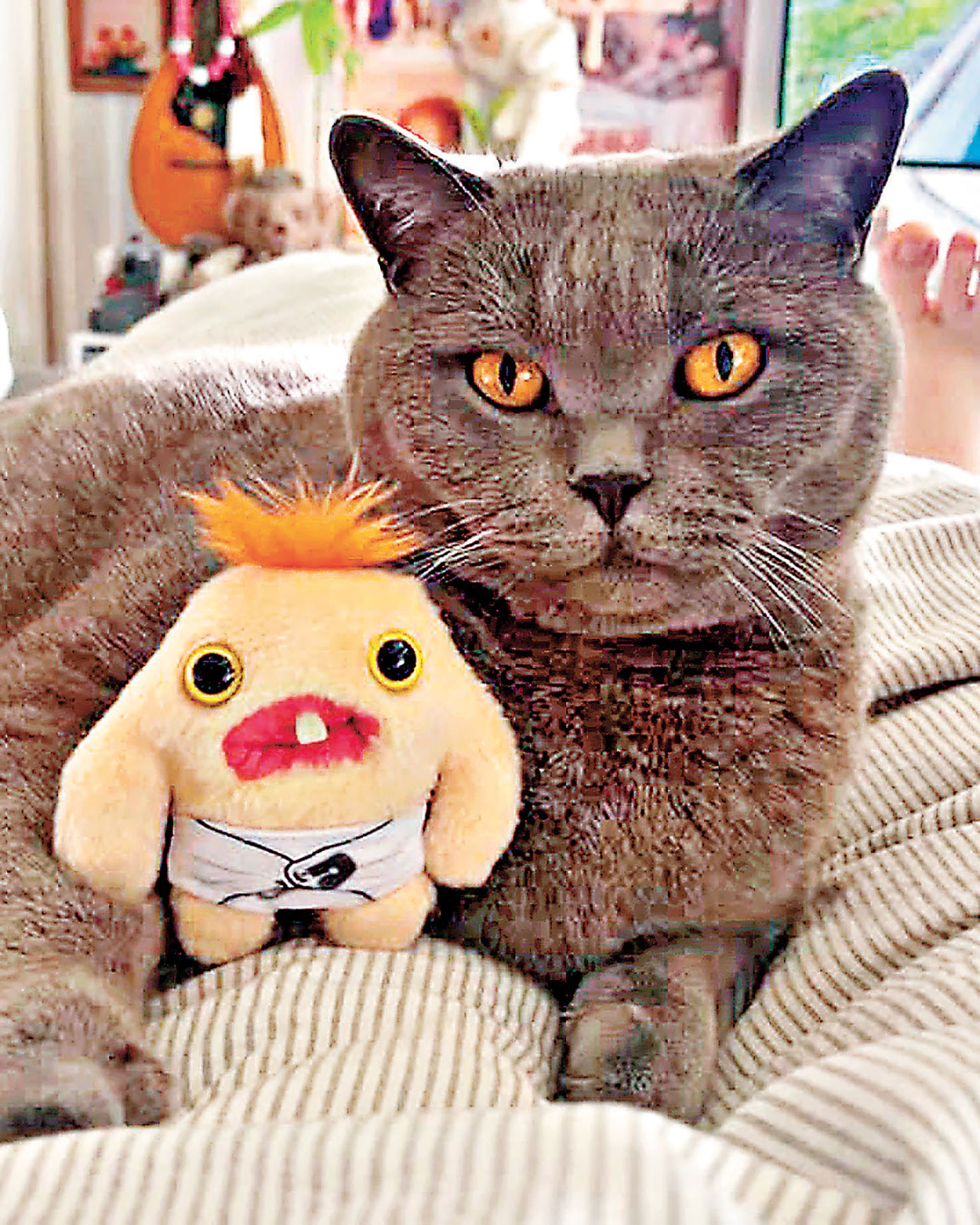 ■玩家為寵物貓貓和Fuggler影合照。