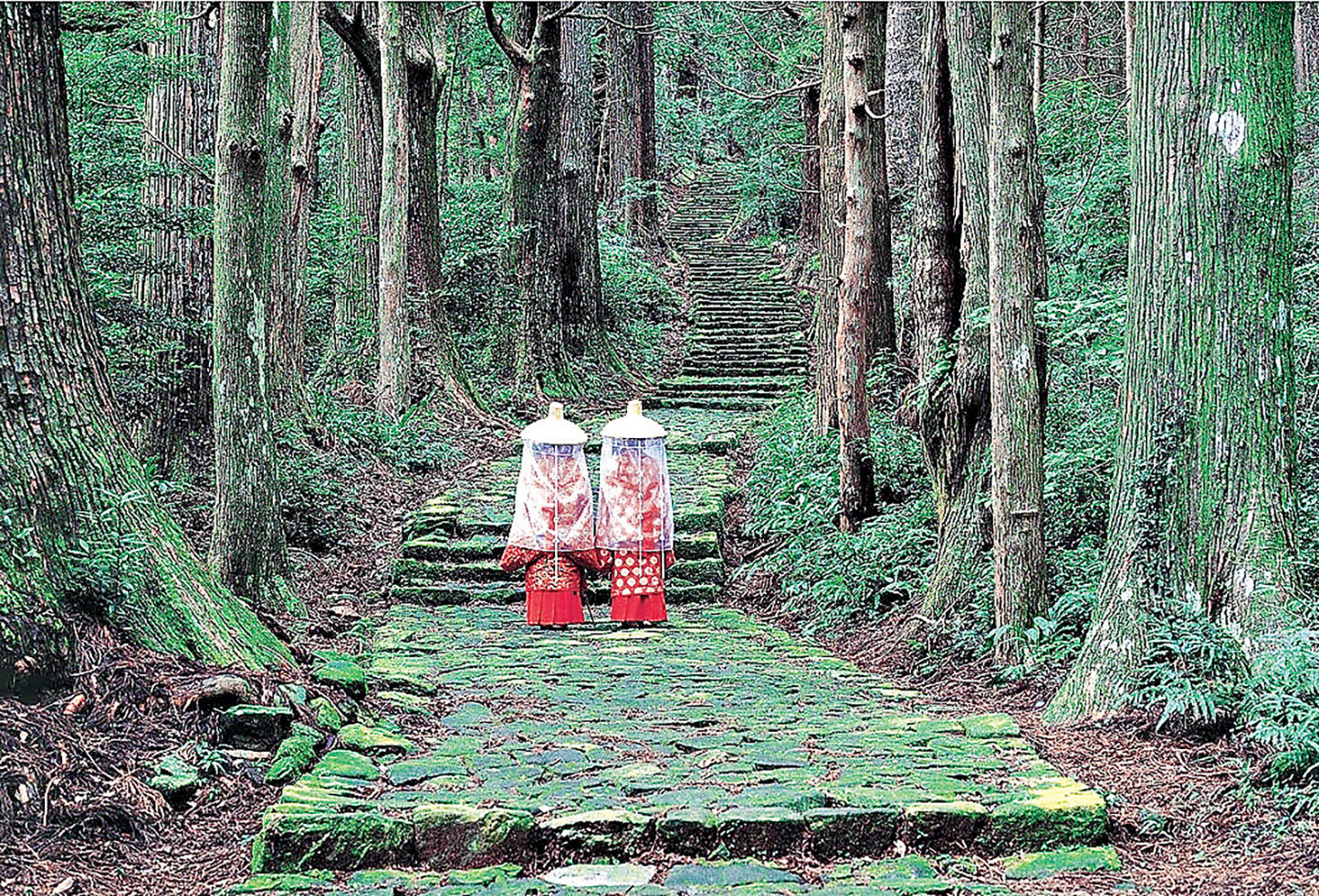 ■熊野古道是參拜熊野三山的必經之道。
