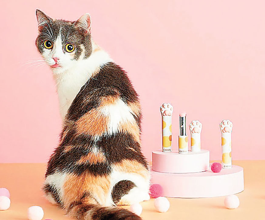 ■CATISS的產品外形可愛。