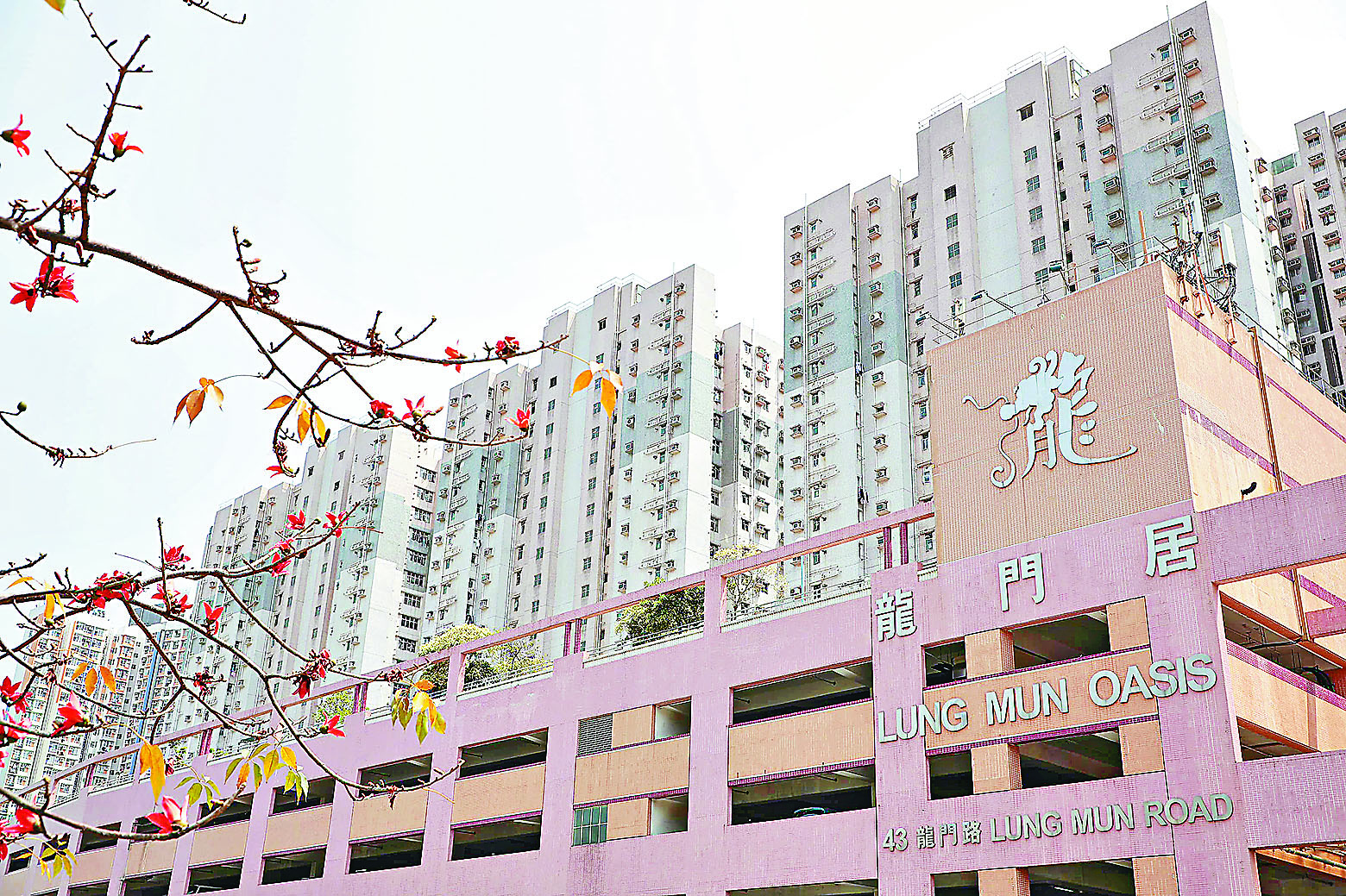 ■屯門居屋龍門居三房戶獲外區客承接。   資料圖片