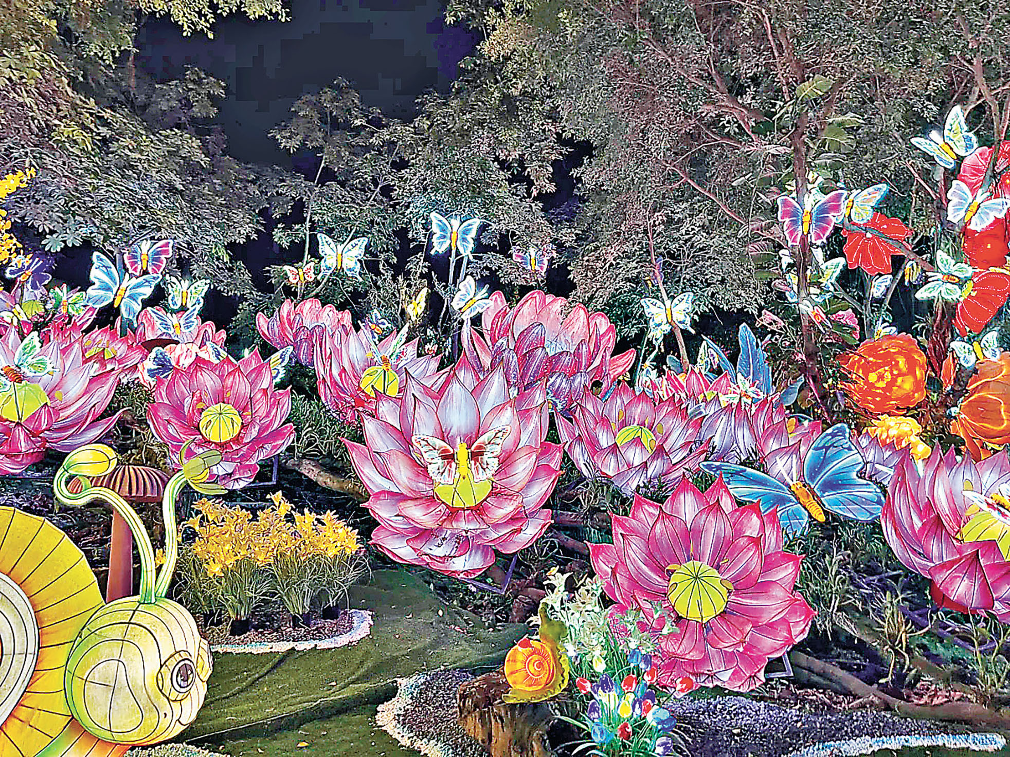 ■靈動的蝴蝶燈