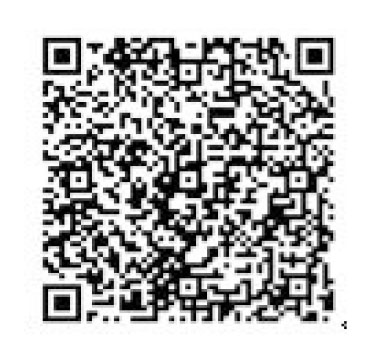 教育局通函第 142/2025 號