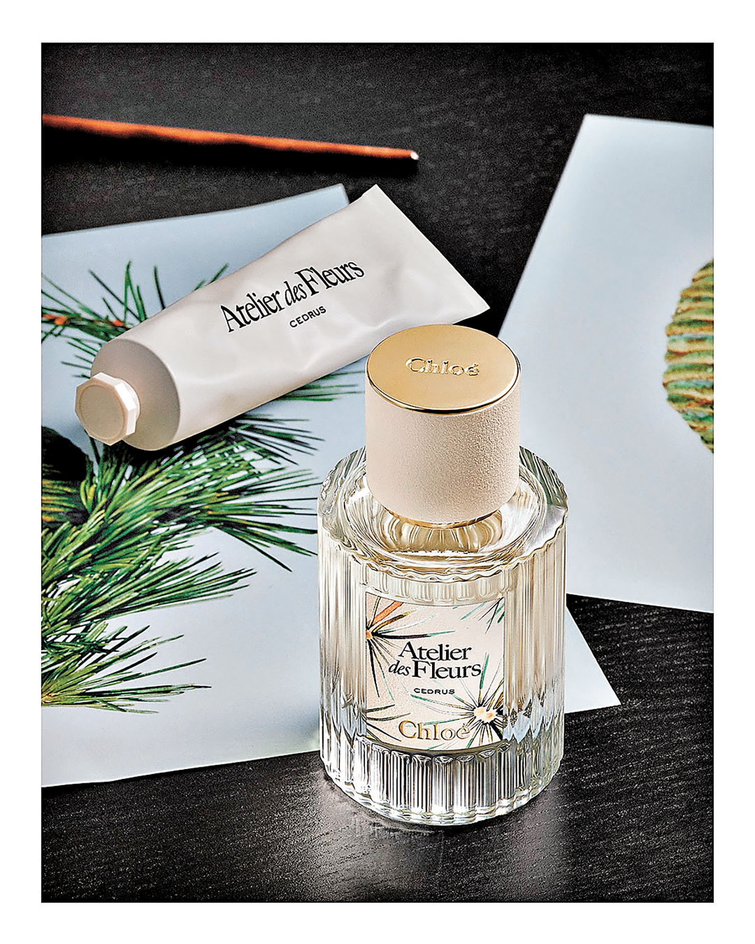 ■Cedrus是一款與眾不同的木調香氛。
