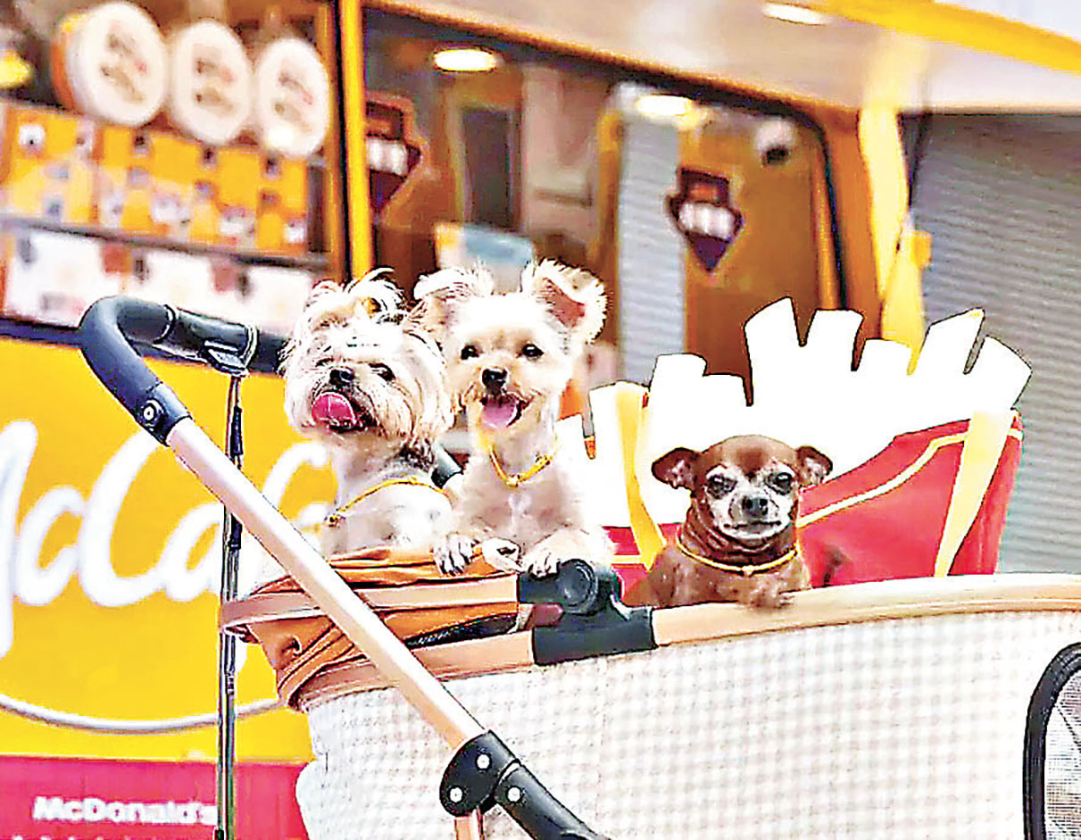 ■每逢假日有不少主子跟奴才前來放電。