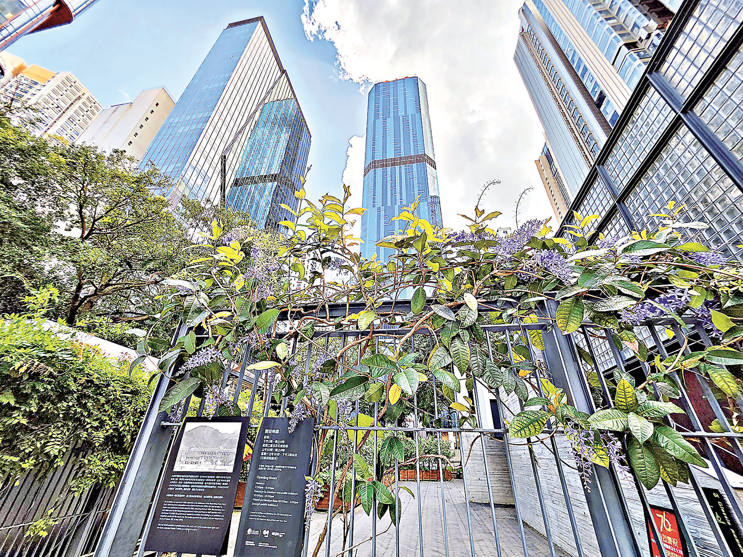 ■有些葉子已經變黃。