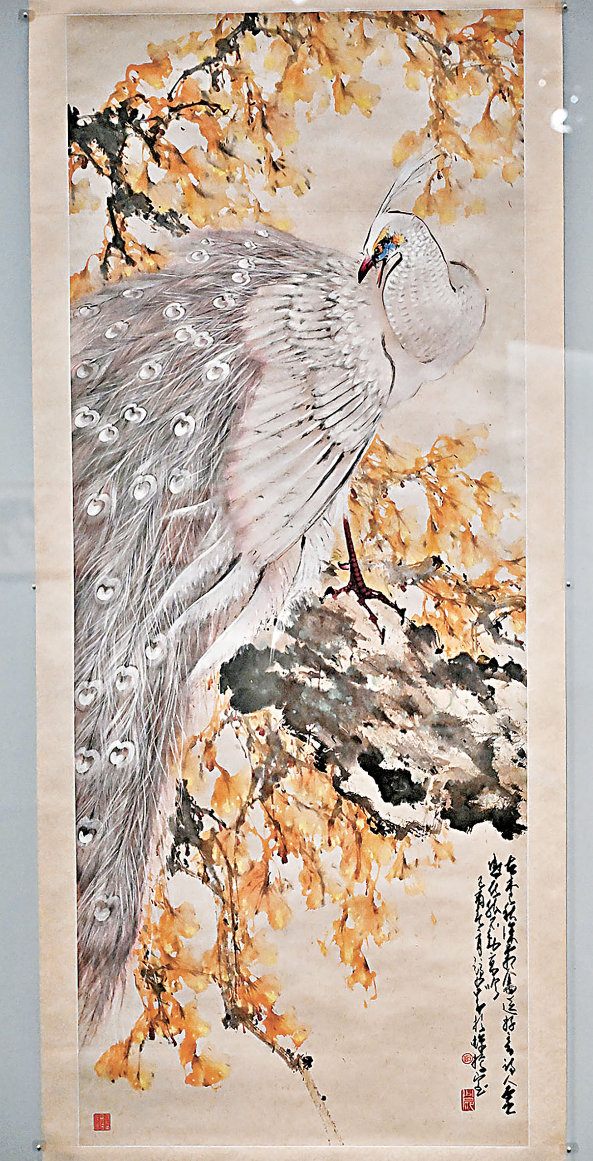 ■《霜光素羽》