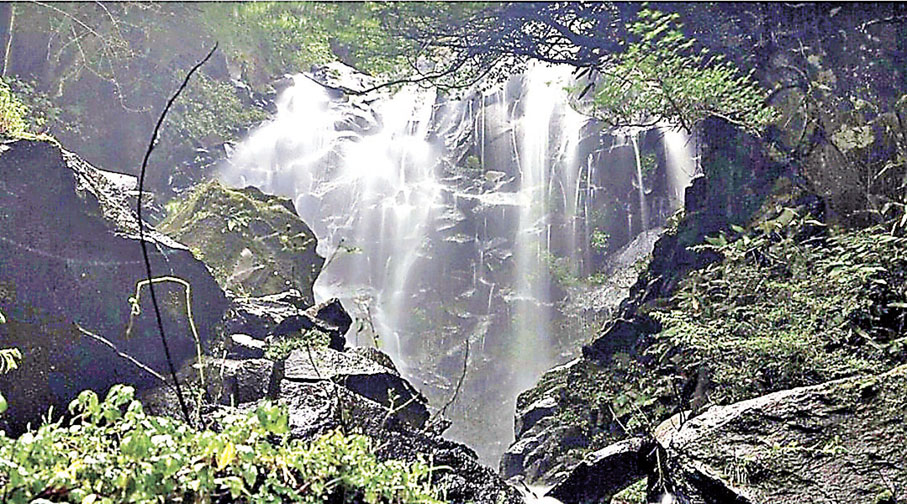 ■飛龍瀑布的激流傾瀉而下。