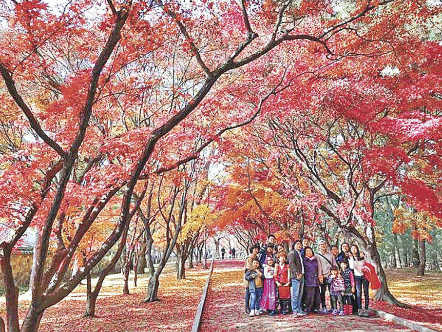 ■釜山慶州是韓國著名賞楓打卡地。