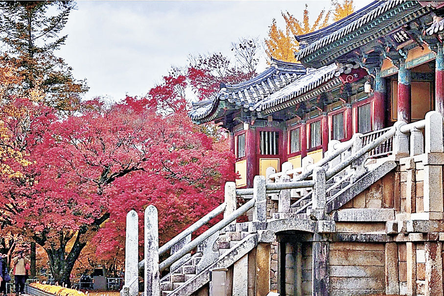 ■佛國寺亭台樓閣遍布紅葉。