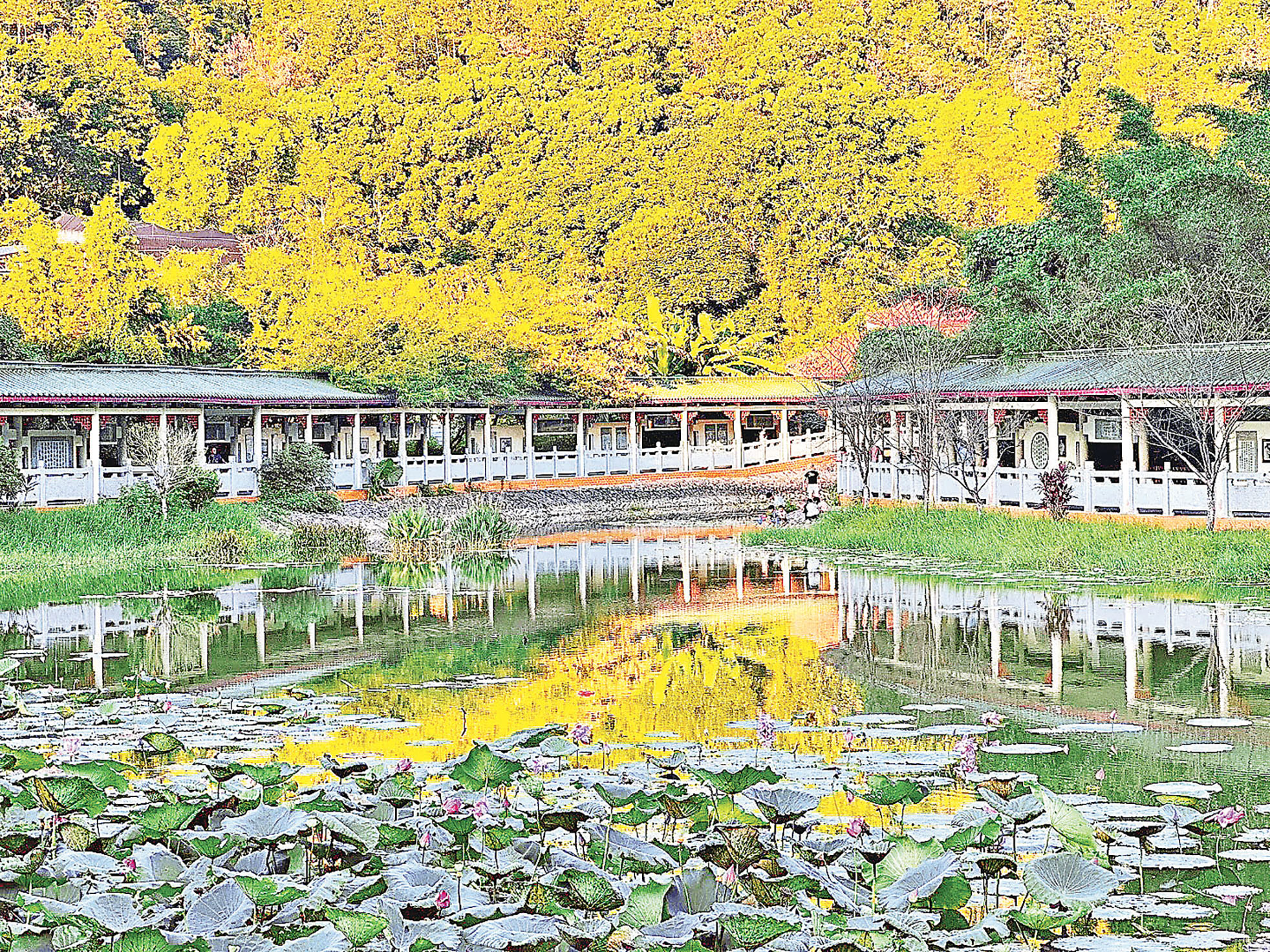 ■走過客家文化長廊，彷彿為身心做了一場深度Spa。  小紅書@追光者