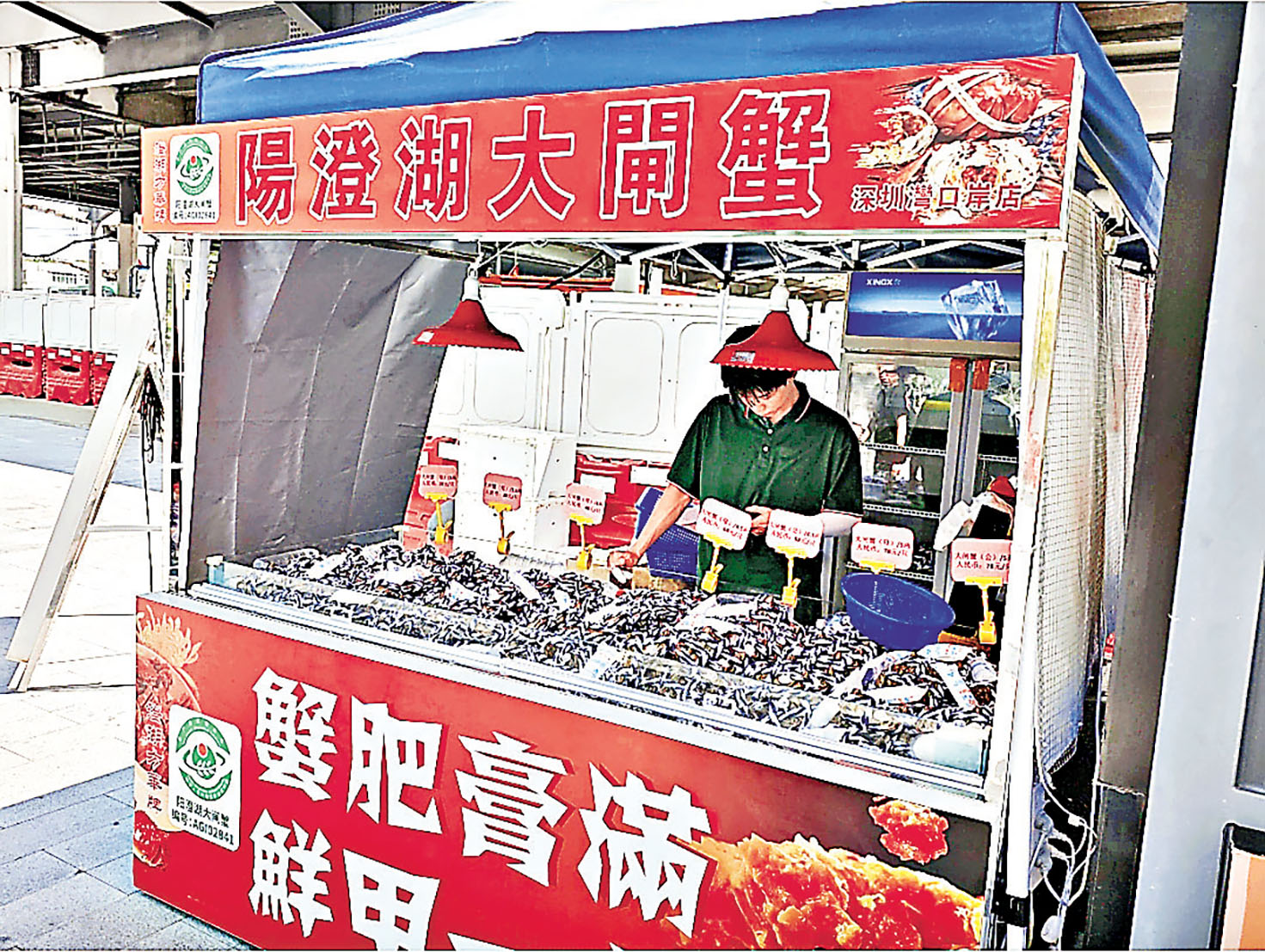 ■深圳灣口岸的陽澄湖大閘蟹正規銷售檔口。