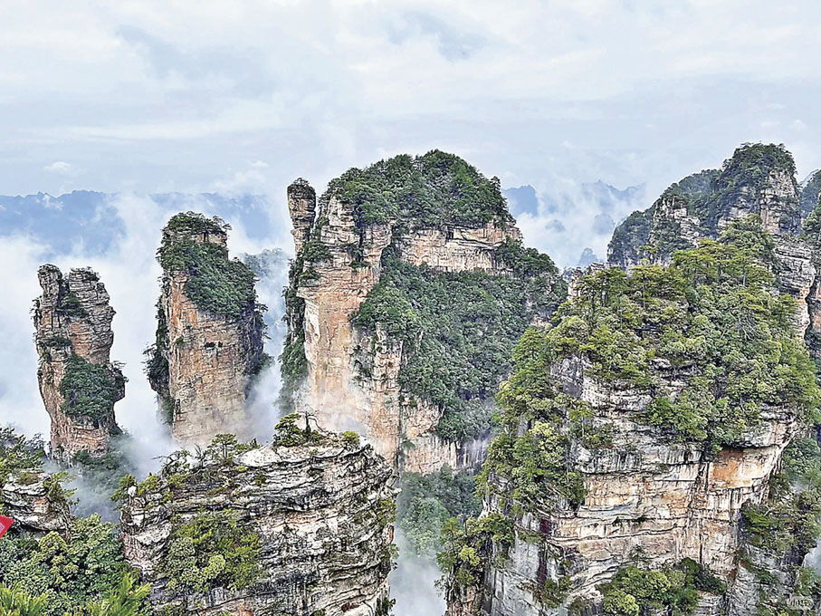 ■張家界國家森林公園有逾3,000座奇峰，常年雲霧繚繞。