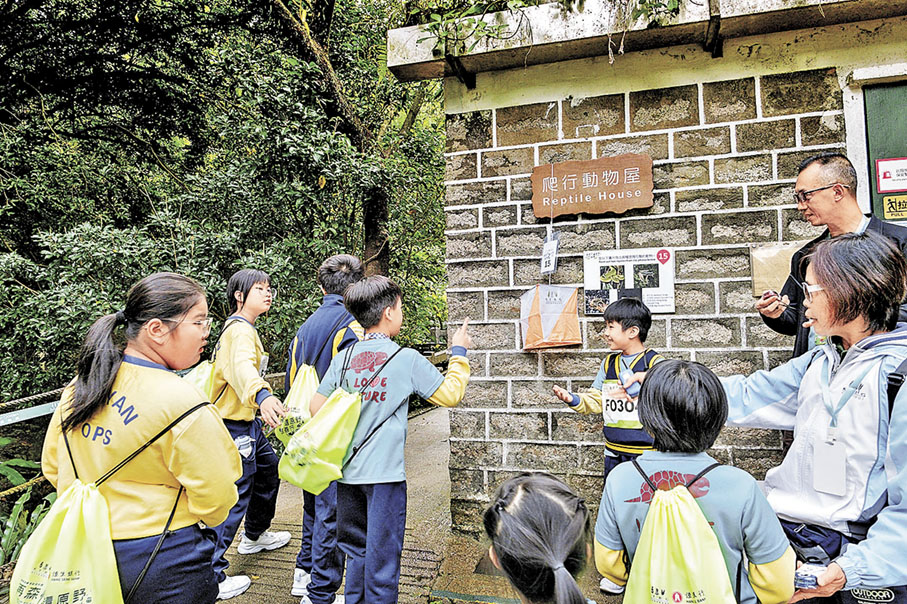■綠野尋寶參加者通過完成任務深入理解科學、永續發展與保育理念。