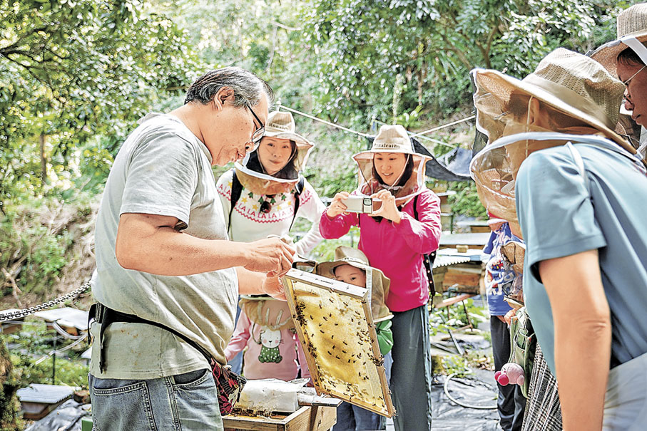 ■參加者在活動日可於大自然中認識不同的生物。