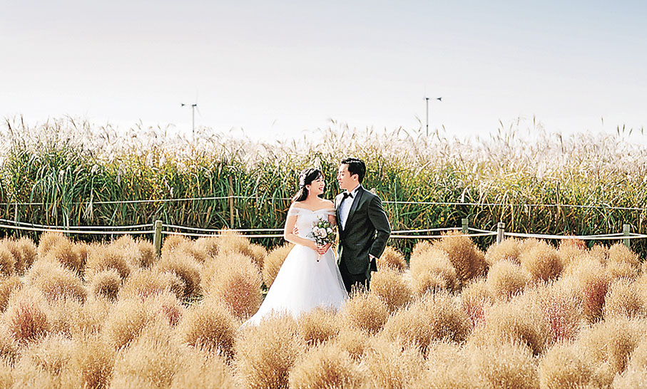 ■天空公園芒草田乃新婚夫婦拍婚照熱點。